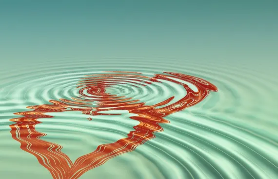 빙고컴 카지노 지원